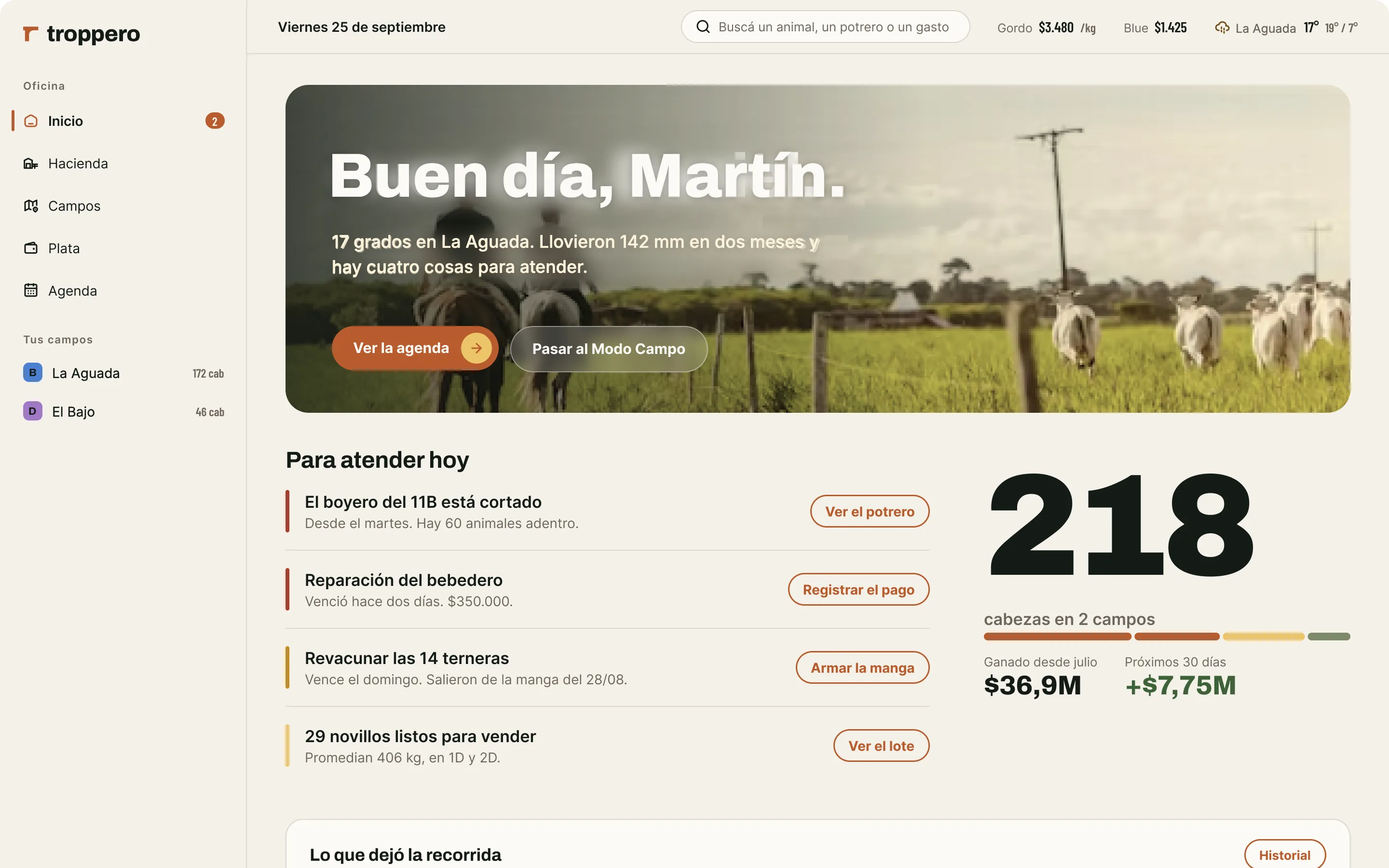 El inicio del día: lo que hay que atender, las cabezas y lo ganado desde julio